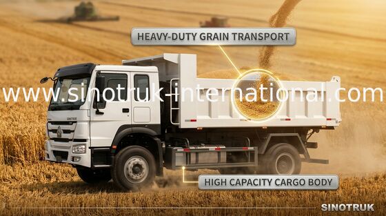 Золотистая тележка сброса 290HP Tipper принца SINOTRUK 4X2 LHD 16tons 9-13CBM ZZ3161M3811C1