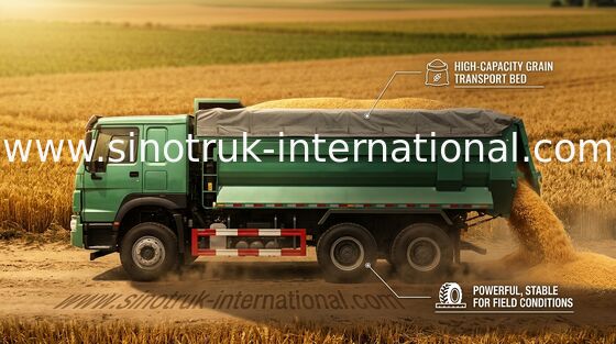 Тонны 10 до 25 CBM тележки Tipper 6X4 тележки сброса Tipper общественная работ/HOWO LHD 25