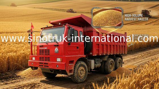 Тележка сброса Tipper двигателя D12.42 420HP, тележка сброса 6X4 10 Уилеров