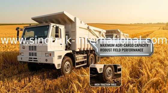 70 Tipper тонн тележки сброса SINOTRUK HOWO70 минируя LHD 6X4 420HP