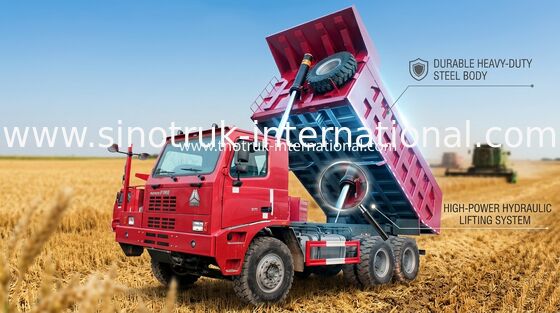 Тележка сброса Уилера тележки сброса Tipper угольной шахты/SINOTRUK HOWO70 10