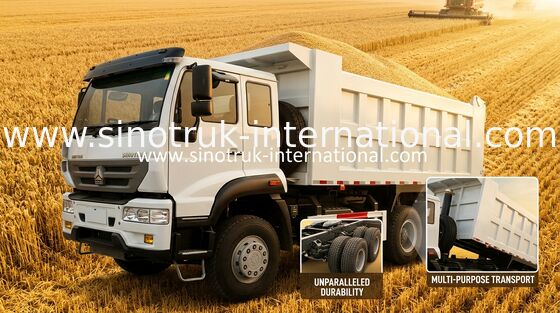 Тележка 10Wheels 336HP LHD 25-30tons ZZ3251N3641W принца сброса SINOTRUK золотистая