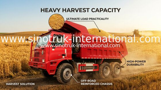 Минируя тележка сброса Tipper 70, тележка сброса евро 2 SINOTRUK HOWO 6x4