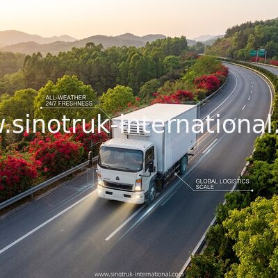 SINOTRUK HOWO тележка 160HP RHD 10 тонн Refrigerated