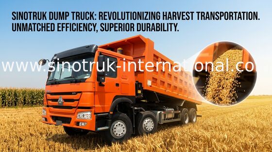 Тележка сброса SINOTRUK HOWO 371HP 12 катит LHD 31tons 20-30CBM ZZ3317N3867W